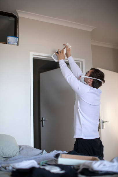 Best Water Damage & Mold Remediation  in Dillon, MT