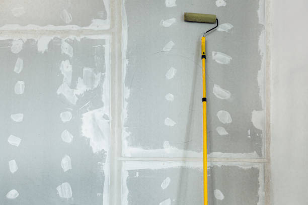 Best Mold Damage Restoration  in Dillon, MT