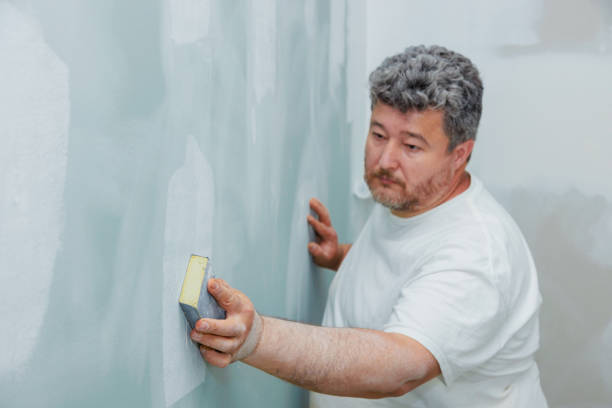 Best Commercial Mold Inspection  in Dillon, MT