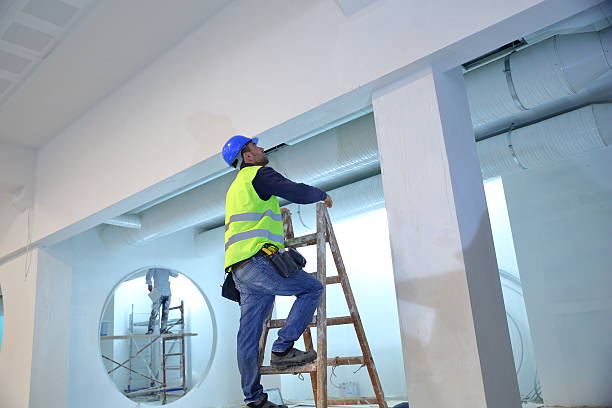 Best Water Damage & Mold Remediation  in Dillon, MT