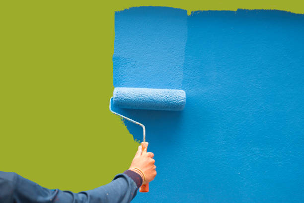 Mold Odor Removal Services in Dillon, MT